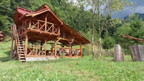 Casa Cerbului Moisei